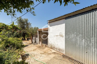 Quinta T1 para Venda em Vila Nova da Baronia