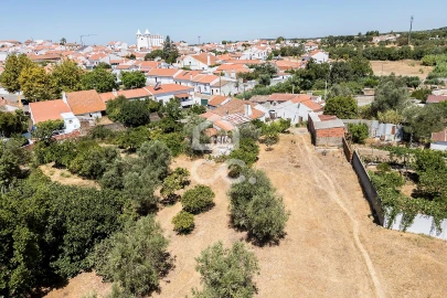 Quinta T1 para Venda em Vila Nova da Baronia