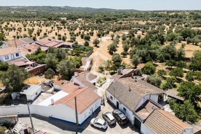Quinta T1 para Venda em Vila Nova da Baronia