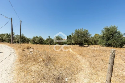 Quinta T1 para Venda em Vila Nova da Baronia