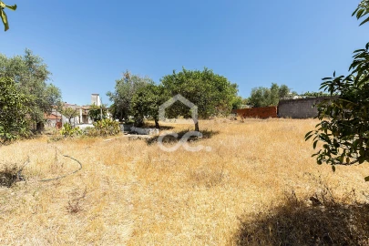 Quinta T1 para Venda em Vila Nova da Baronia