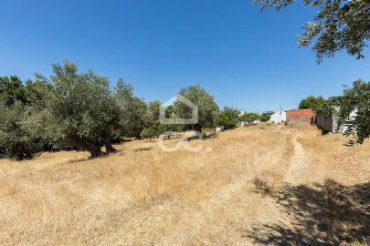 Quinta T1 para Venda em Vila Nova da Baronia