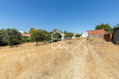 Quinta T1 para Venda em Vila Nova da Baronia