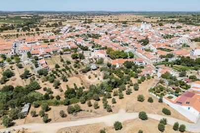 Quinta T1 para Venda em Vila Nova da Baronia