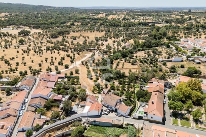 Quinta T1 para Venda em Vila Nova da Baronia