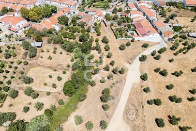 Quinta T1 para Venda em Vila Nova da Baronia