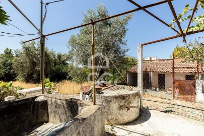 Quinta T1 para Venda em Vila Nova da Baronia