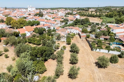 Quinta T1 para Venda em Vila Nova da Baronia