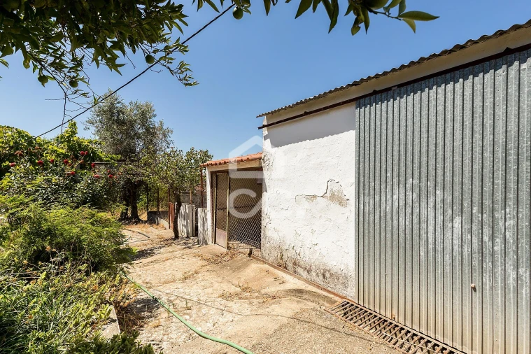 Quinta T1 para Venda em Vila Nova da Baronia Foto 23