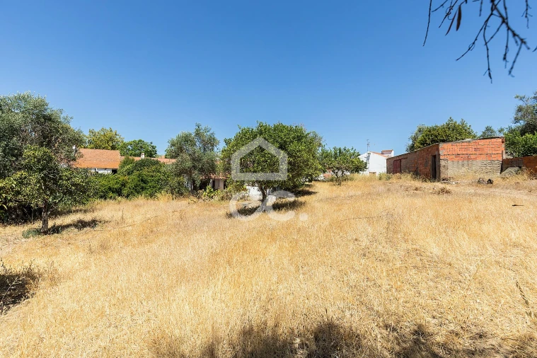 Quinta T1 para Venda em Vila Nova da Baronia Foto 32