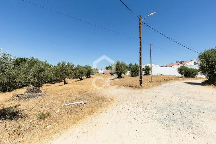 Quinta T1 para Venda em Vila Nova da Baronia Foto 35