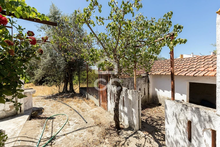Quinta T1 para Venda em Vila Nova da Baronia Foto 24