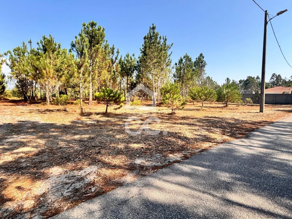 Terreno para Venda em Vieira de Leiria Foto 4