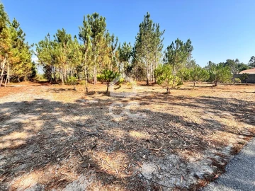 Terreno para Venda em Vieira de Leiria