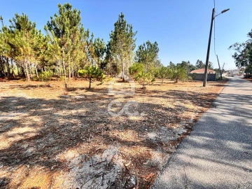 Terreno para Venda em Vieira de Leiria
