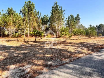 Terreno para Venda em Vieira de Leiria