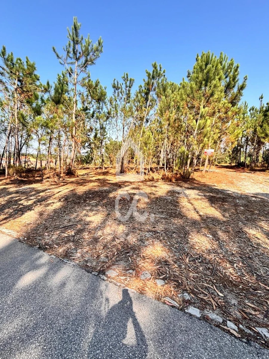 Terreno para Venda em Vieira de Leiria Foto 2