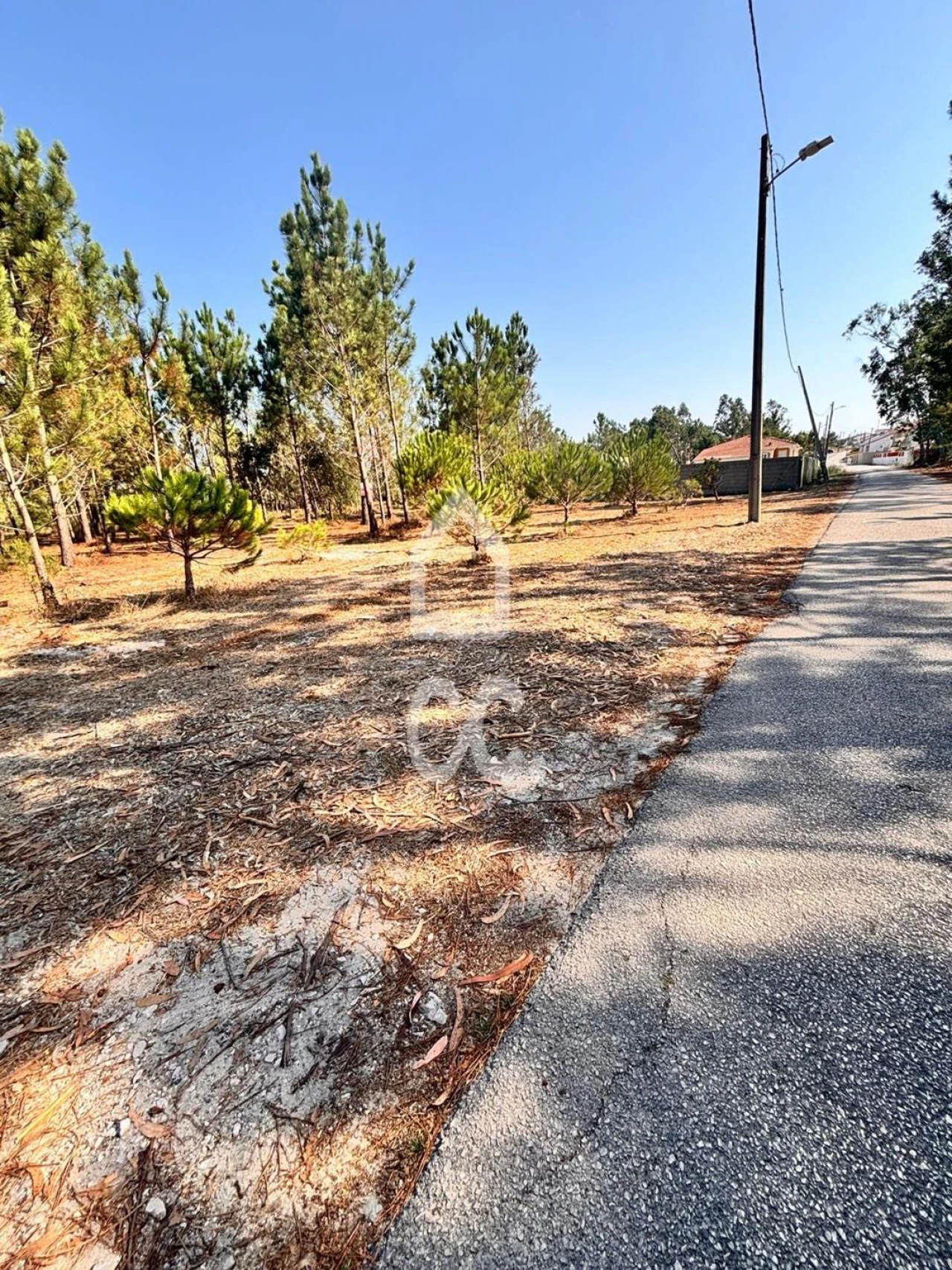 Terreno para Venda em Vieira de Leiria Foto 9