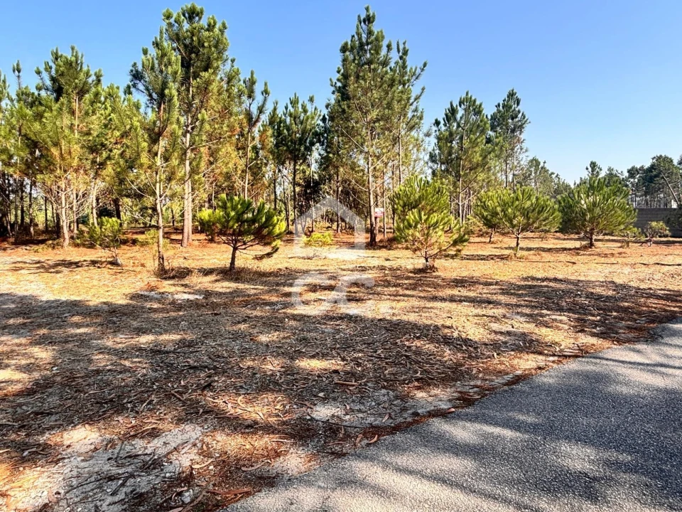 Terreno para Venda em Vieira de Leiria Foto 6