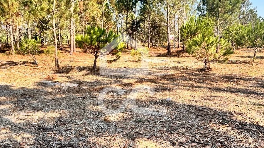 Terreno para Venda em Vieira de Leiria