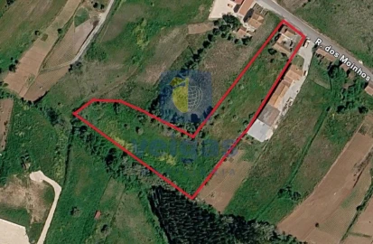 Moradia T3 para Venda em Alvorninha