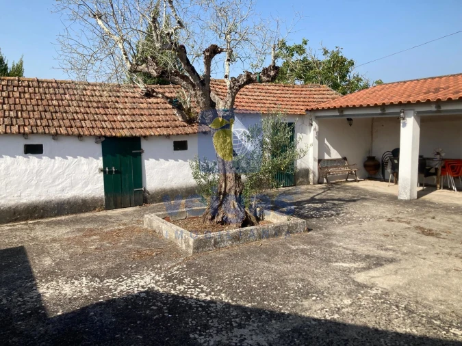 Moradia T3 para Venda em Alvorninha Foto 4