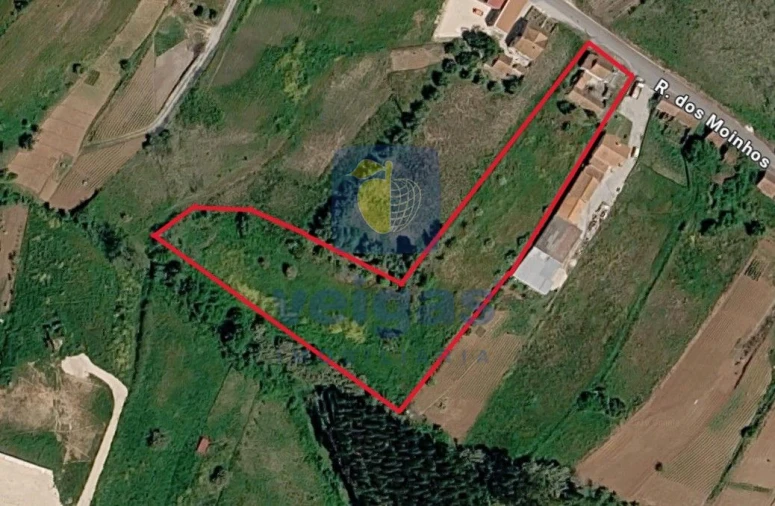 Moradia T3 para Venda em Alvorninha Foto 31