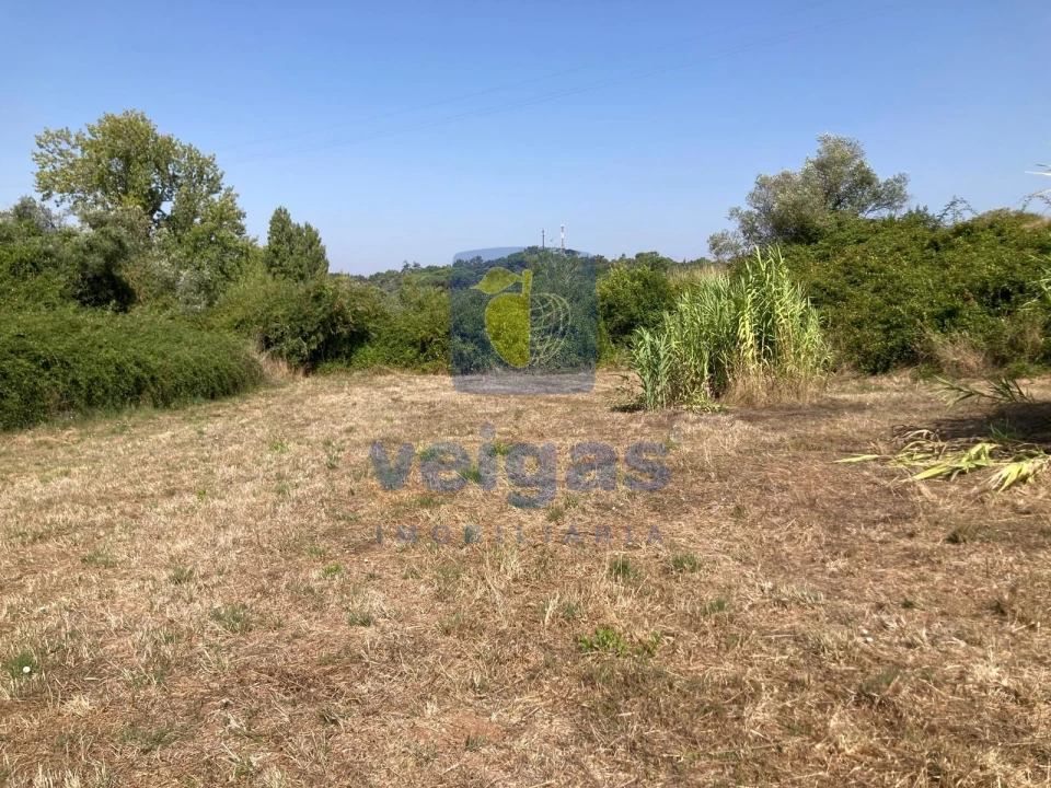 Moradia T3 para Venda em Alvorninha Foto 22