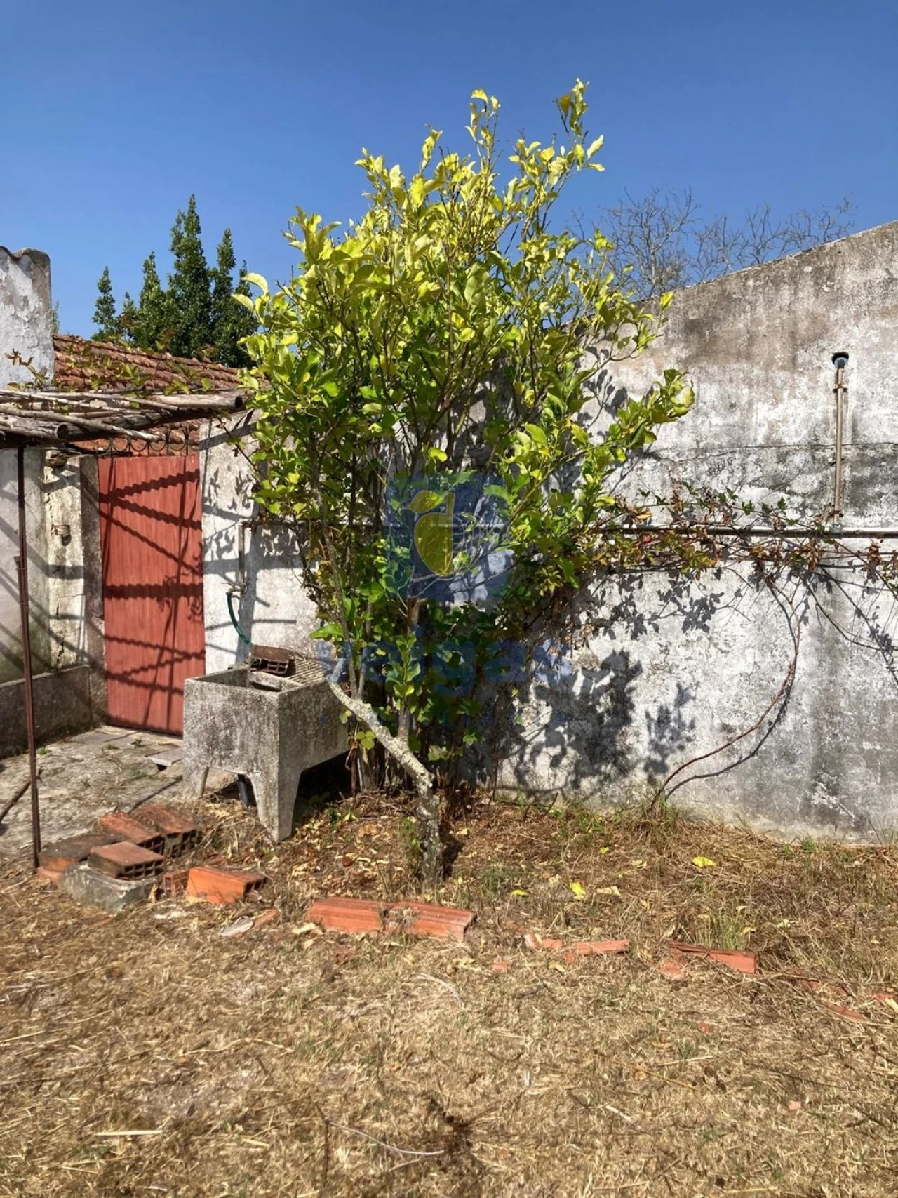 Moradia T3 para Venda em Alvorninha Foto 21