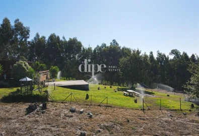 Terreno para Venda em Arões (São Romão)