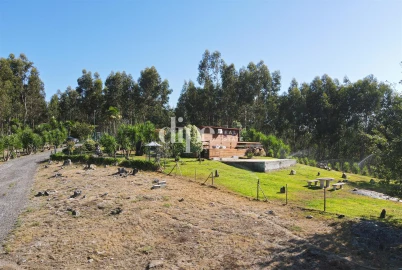Terreno para Venda em Arões (São Romão)
