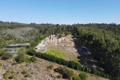 Terreno para Venda em Arões (São Romão)