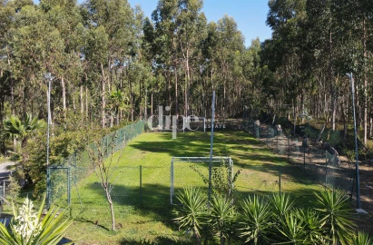 Terreno para Venda em Arões (São Romão)
