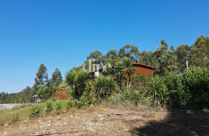 Terreno para Venda em Arões (São Romão)
