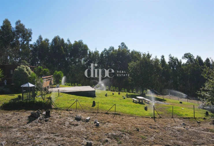 Terreno para Venda em Arões (São Romão) Foto 9