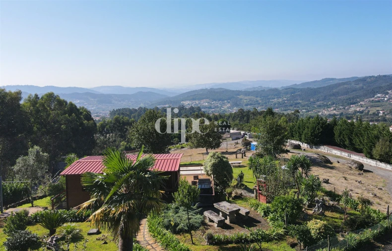 Terreno para Venda em Arões (São Romão) Foto 5