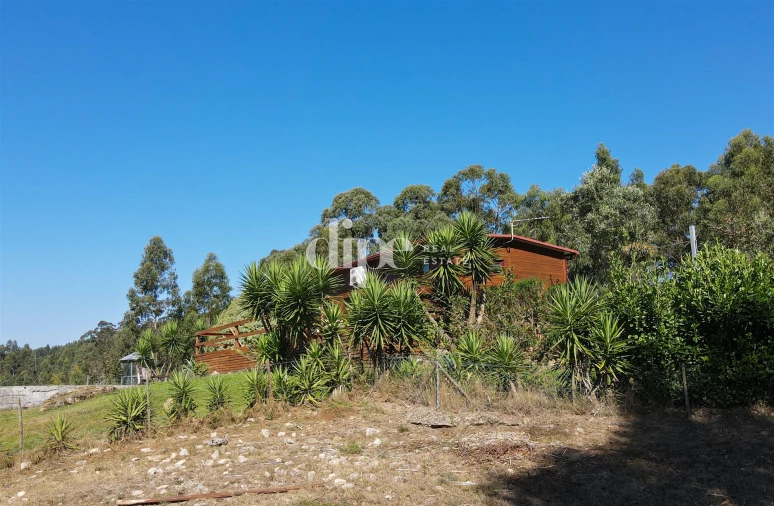 Terreno para Venda em Arões (São Romão) Foto 4