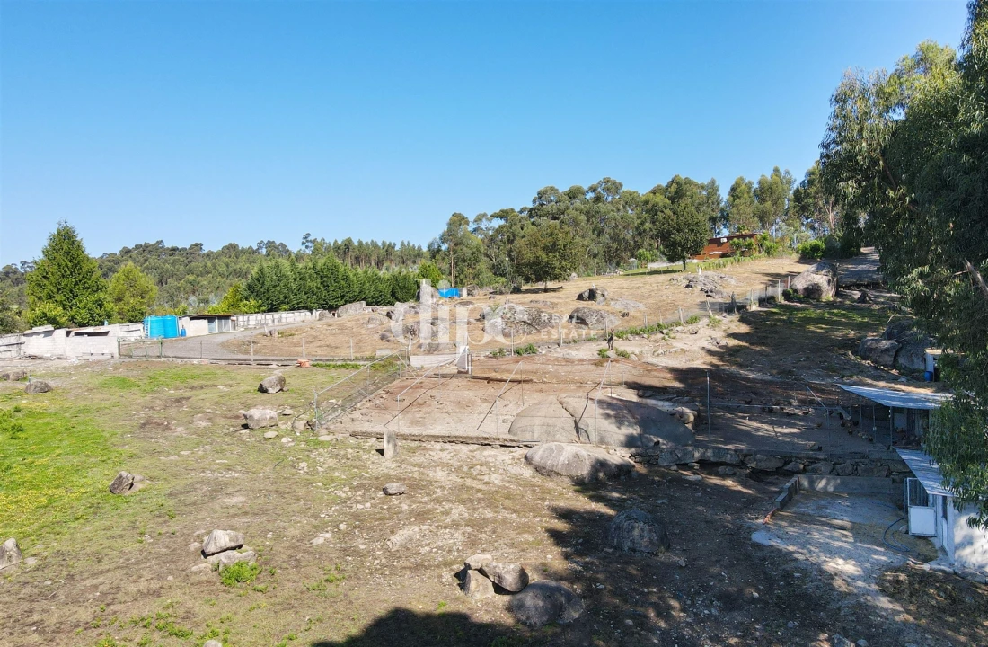 Terreno para Venda em Arões (São Romão) Foto 3