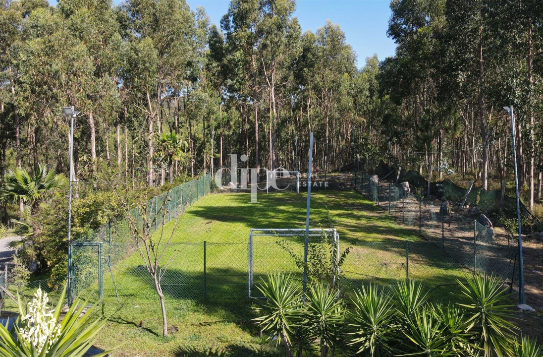 Terreno para Venda em Arões (São Romão) Foto 6