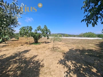 Moradia T5 para Venda em Areias e Pias