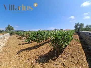 Moradia T5 para Venda em Areias e Pias