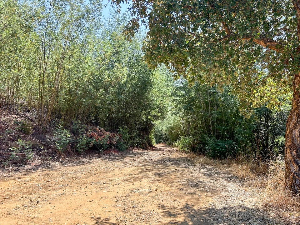 Terreno Misto para Venda em Souto da Casa Foto 42