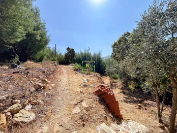 Terreno Misto para Venda em Souto da Casa