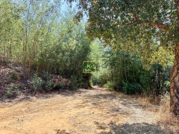 Terreno Misto para Venda em Souto da Casa