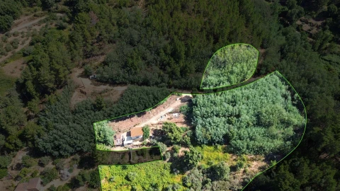 Terreno Misto para Venda em Souto da Casa