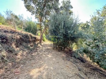 Terreno Misto para Venda em Souto da Casa