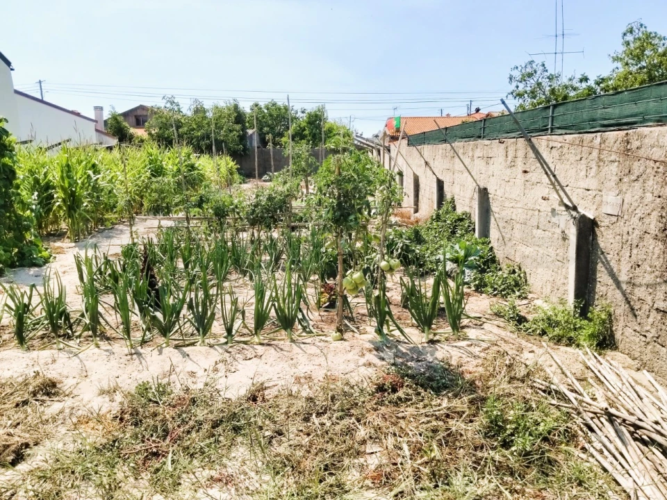 Terreno para Venda em Gafanha do Carmo Foto 2