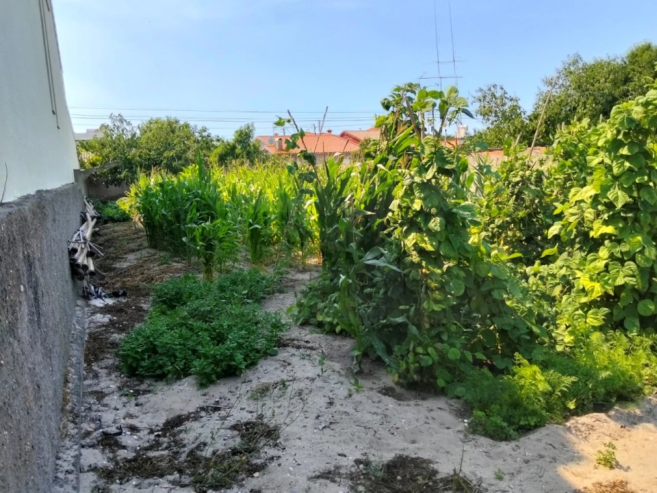 Terreno para Venda em Gafanha do Carmo Foto 3