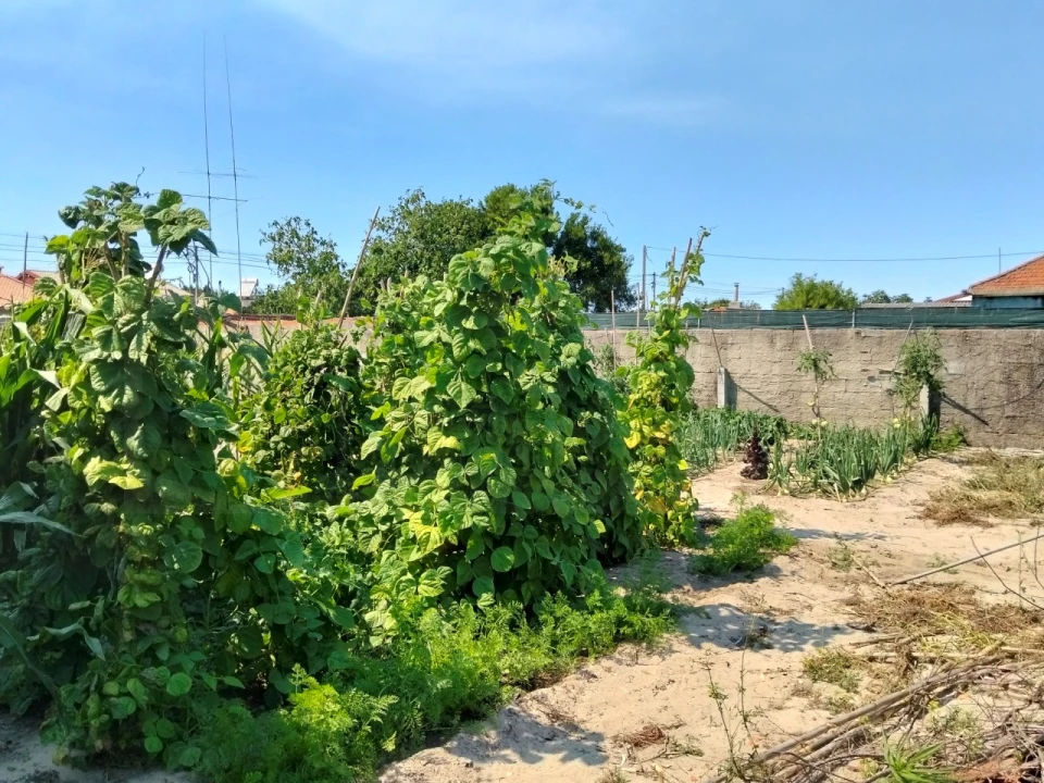 Terreno para Venda em Gafanha do Carmo Foto 5