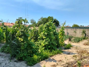 Terreno para Venda em Gafanha do Carmo